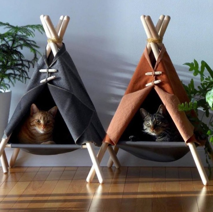 IMG-20251120-WA0017 IMG-20251120-WA0017